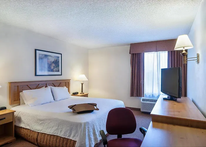 Hampton Phoenix/anthem Hotel Anthem
