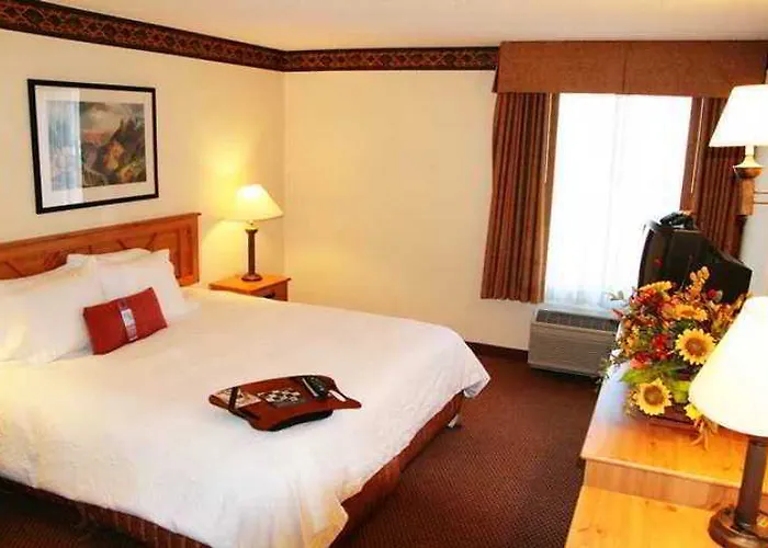 Hampton Phoenix/anthem Hotel Anthem